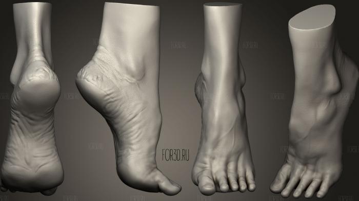 Left Foot Study 3d stl модель для ЧПУ